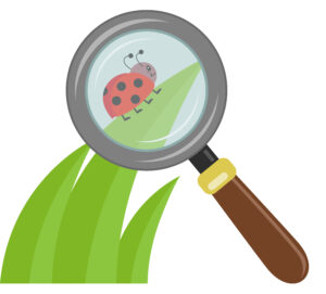 Cartoon image of a magnifying glass over a ladybird on a leaf